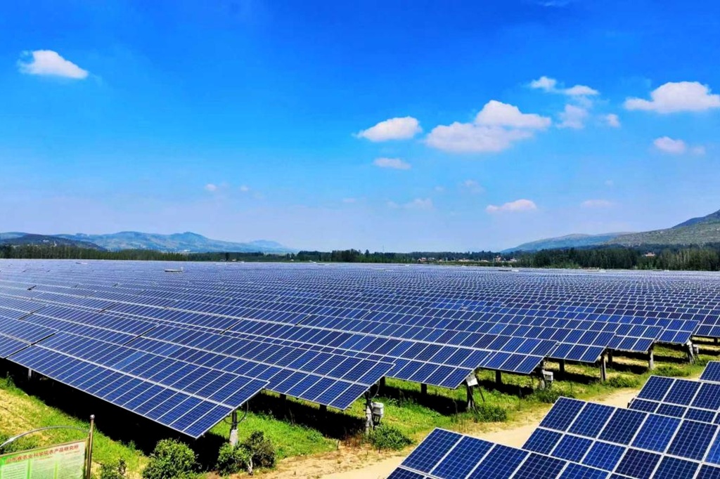 1755484866996636.jpg 1.jpg